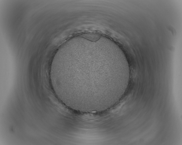 X0000110981489200907022045