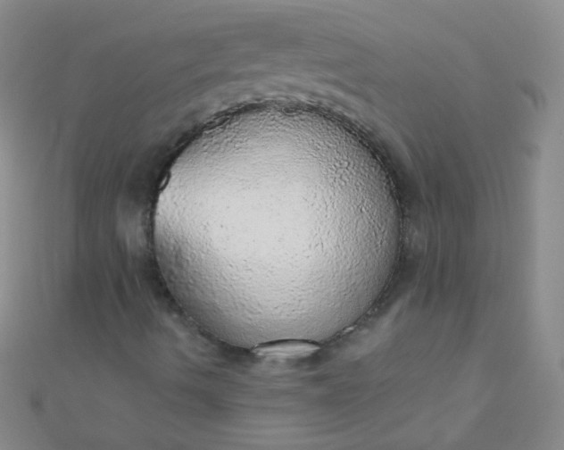 X0000110981490200907022045