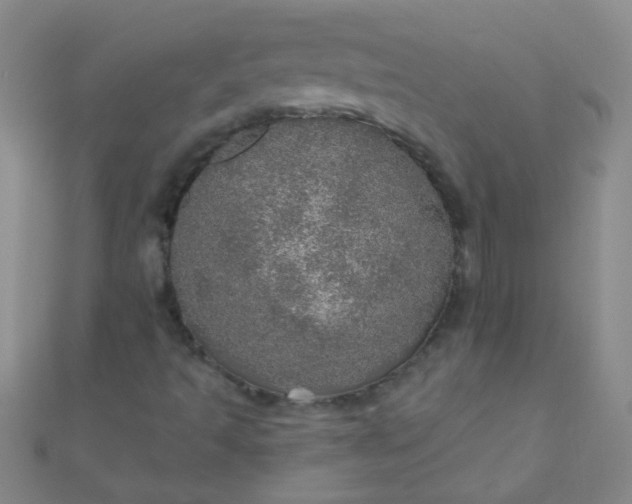 X0000110981493200907022045