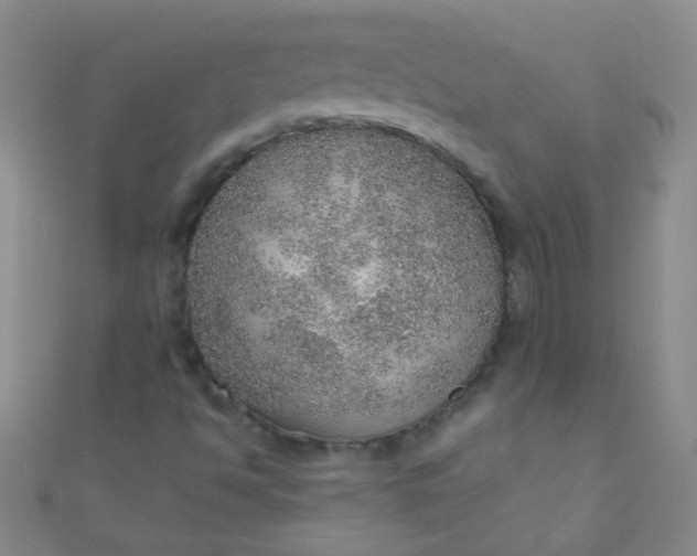 X0000110981494200907022045