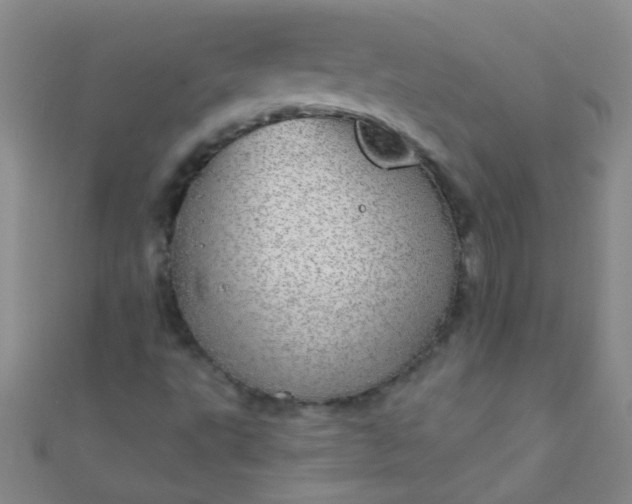 X0000110981495200907022045