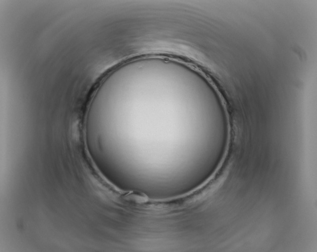 X0000110981497200907022045