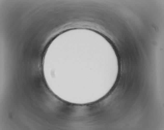 X0000110981498200907022045