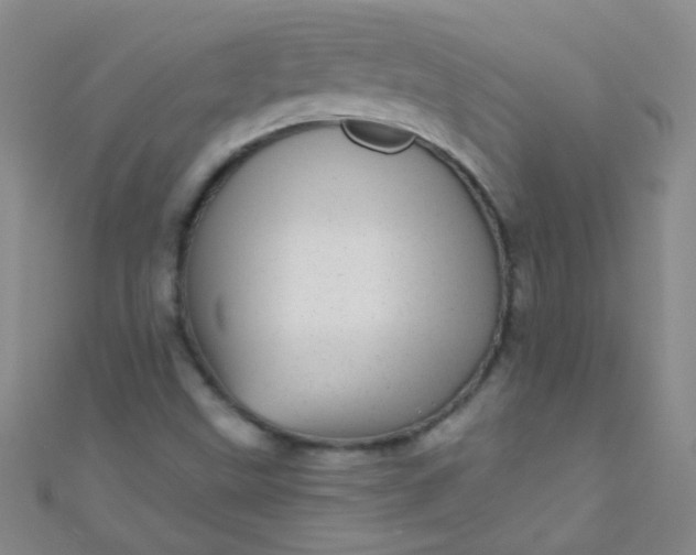 X0000110981499200907022045