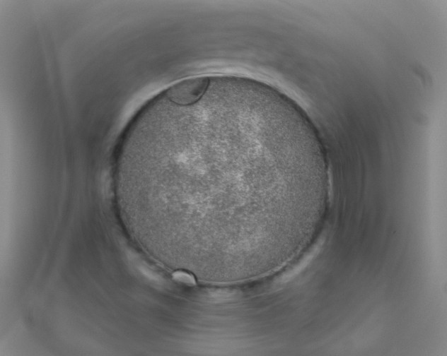 X0000110981501200907022045