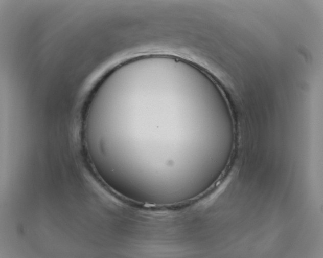 X0000110981502200907022045