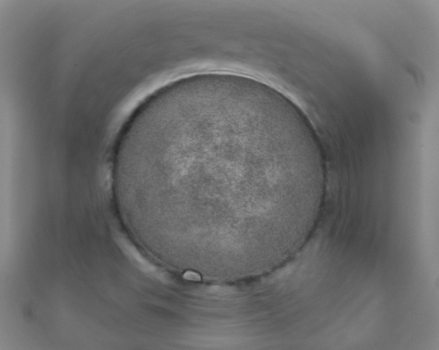 X0000110981503200907022045