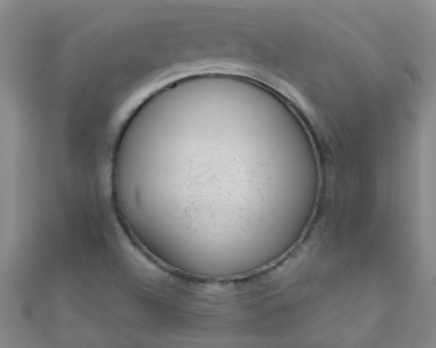 X0000110981504200907022045