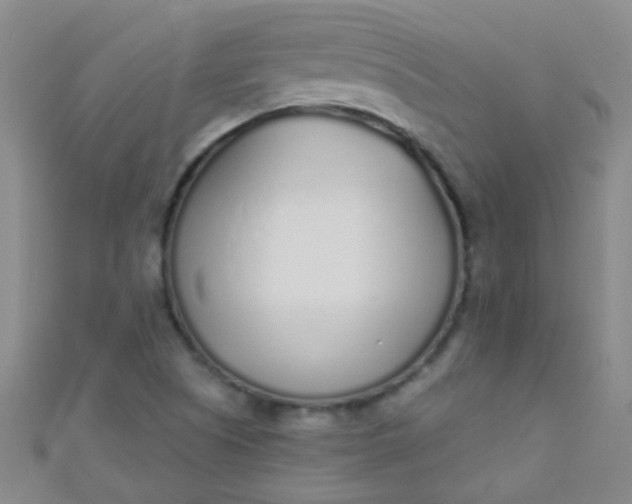 X0000110981505200907022045