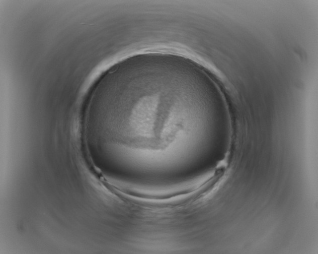 X0000110981506200907022045