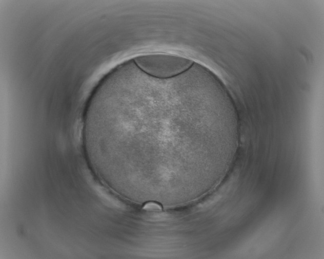 X0000110981507200907022045