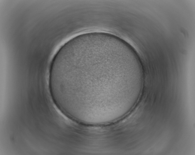 X0000110981508200907022045