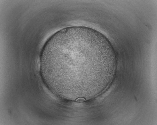 X0000110981509200907022045