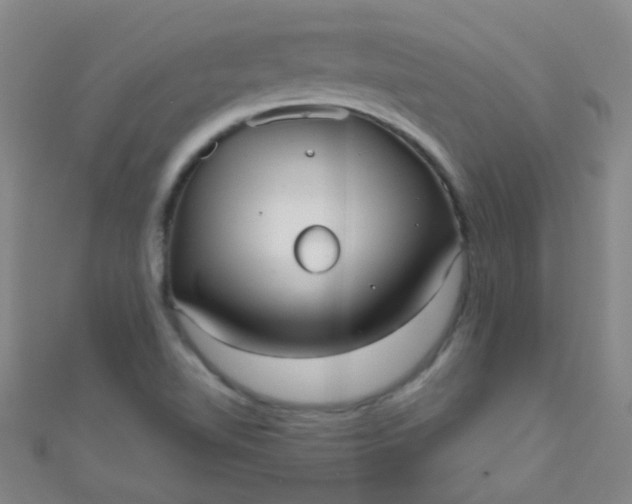 X0000110981510200907022045