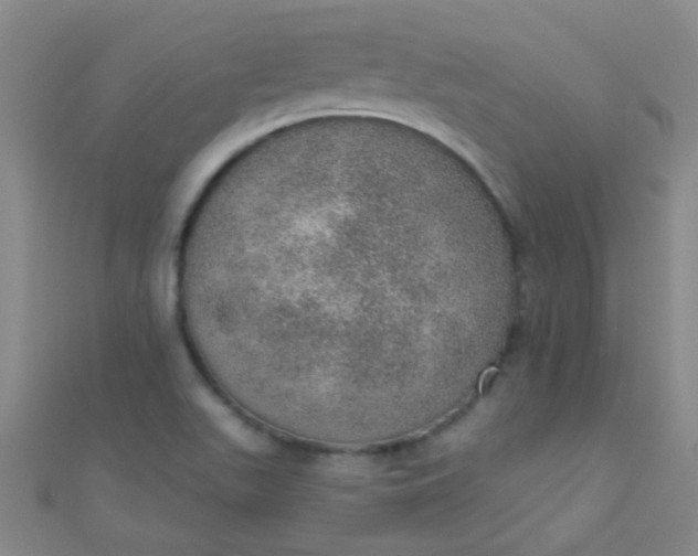 X0000110981511200907022045