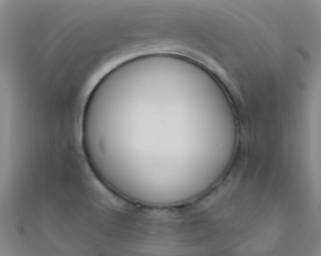 X0000110981512200907022045