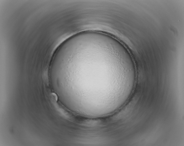 X0000110981513200907022045