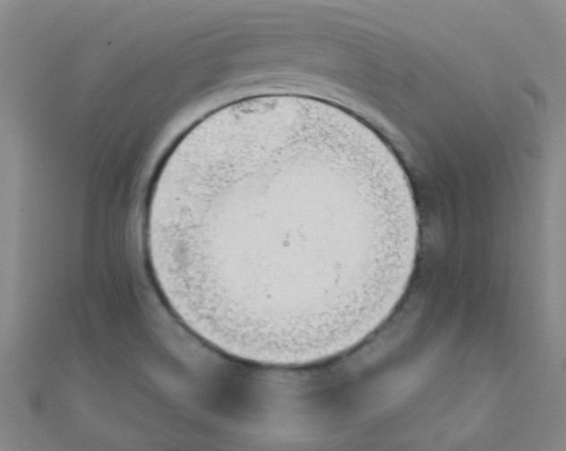 X0000110981514200907022045