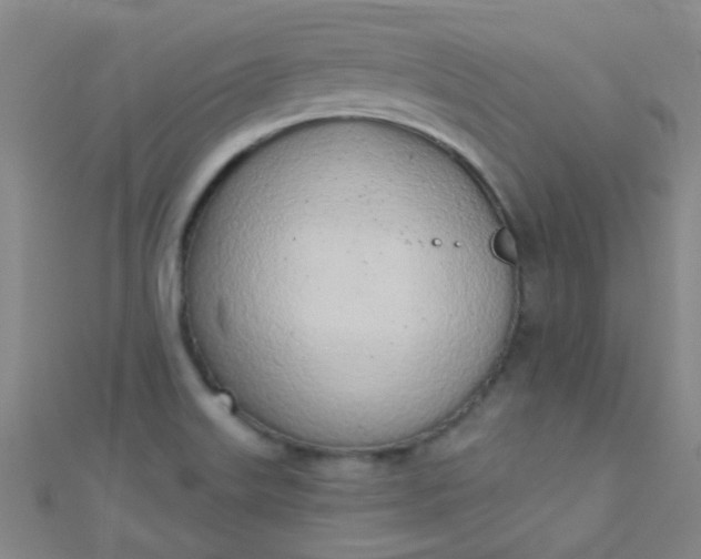 X0000110981515200907022045