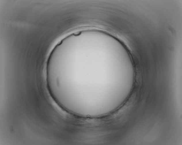 X0000110981516200907022045