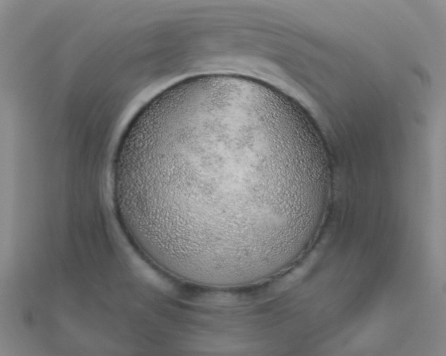 X0000110981517200907022045