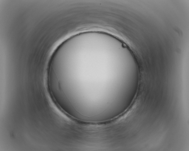 X0000110981518200907022045