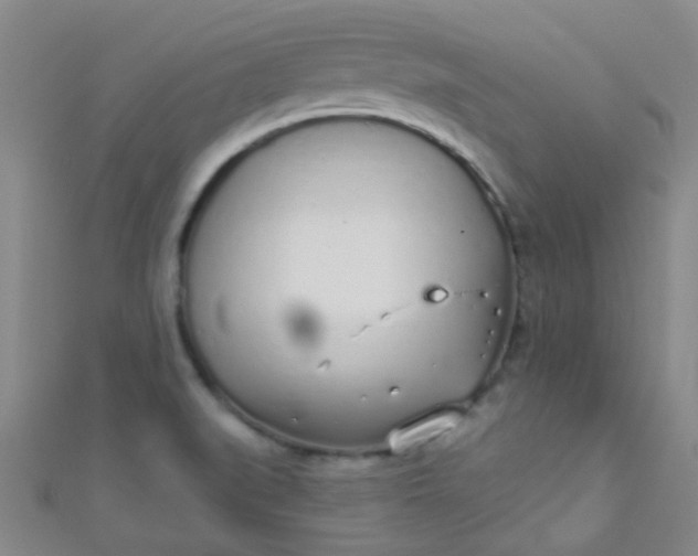 X0000110981519200907022045