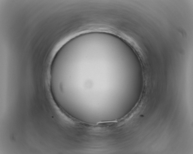 X0000110981520200907022045