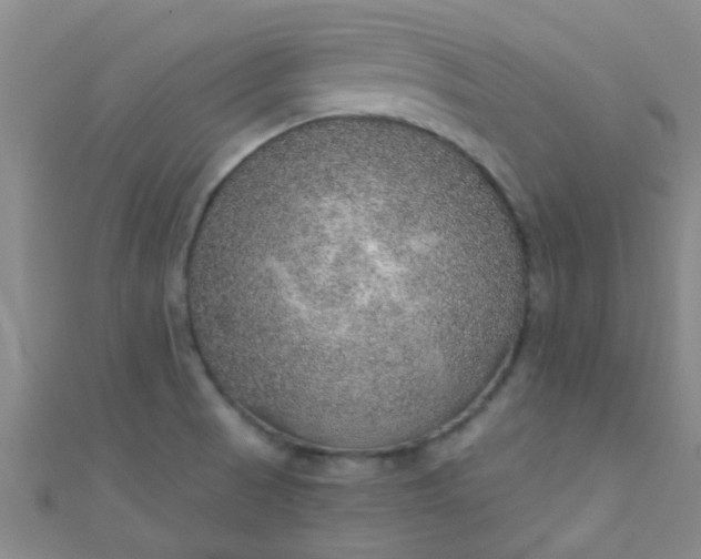 X0000110981521200907022045