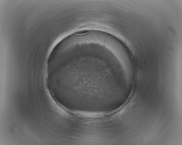 X0000110981522200907022045