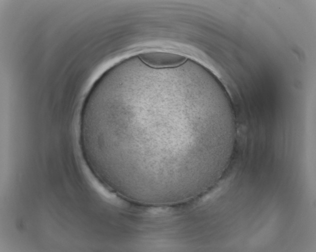 X0000110981523200907022045