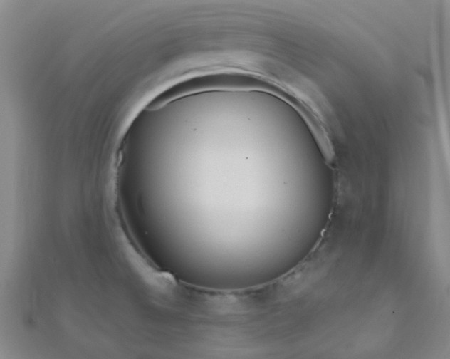 X0000110981524200907022045