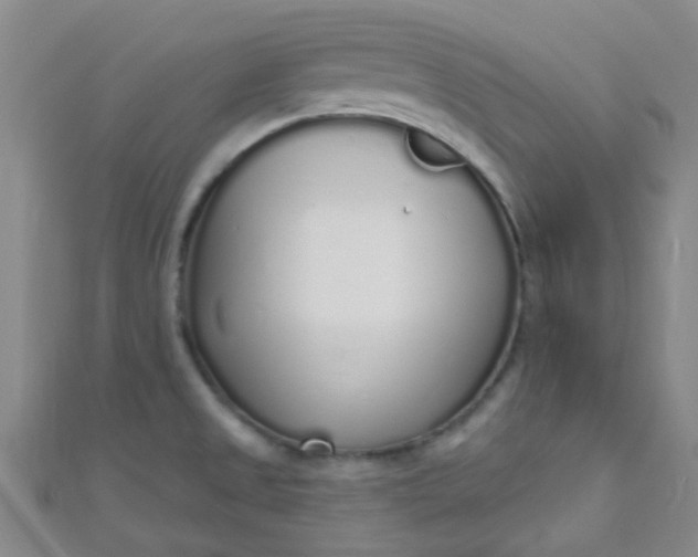 X0000110981525200907022045