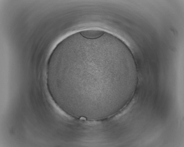 X0000110981526200907022045