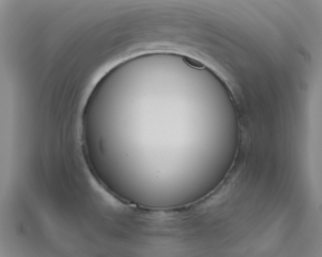 X0000110981527200907022045