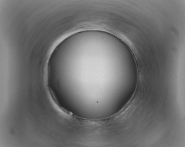 X0000110981528200907022045