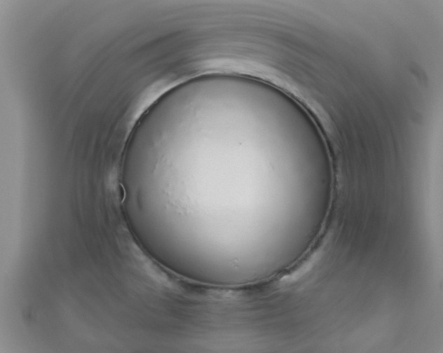 X0000110981529200907022045