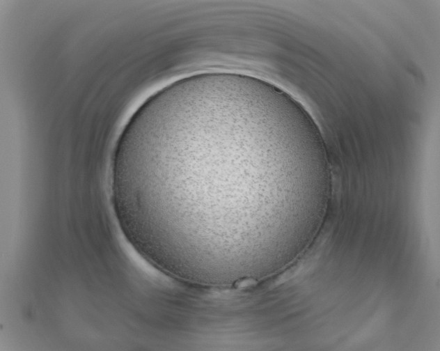 X0000110981531200907022045