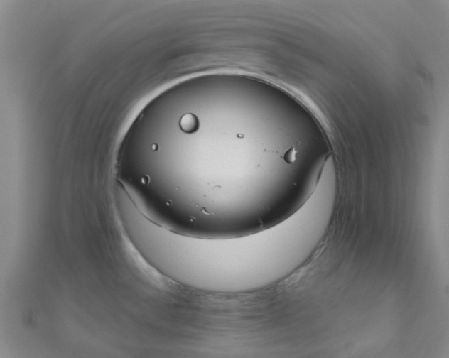 X0000110981532200907022045