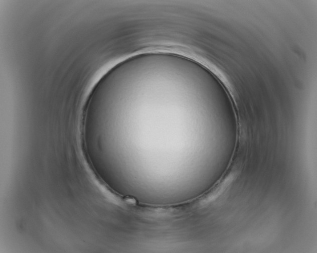 X0000110981533200907022045