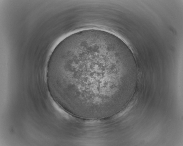 X0000110981535200907022045