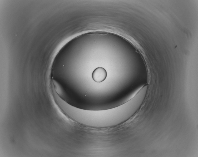 X0000110981536200907022045