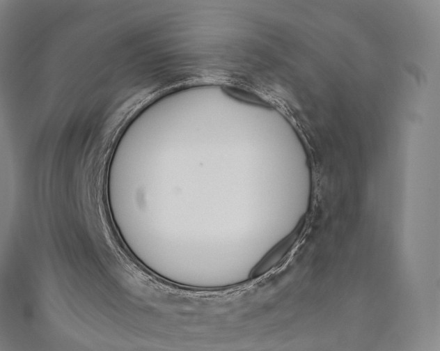 X0000110980001200907101419