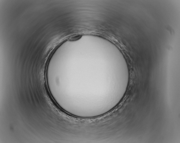 X0000110980002200907101419