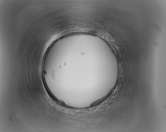 X0000110980003200907101419