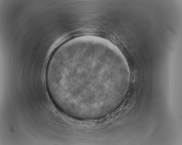 X0000110980004200907101419