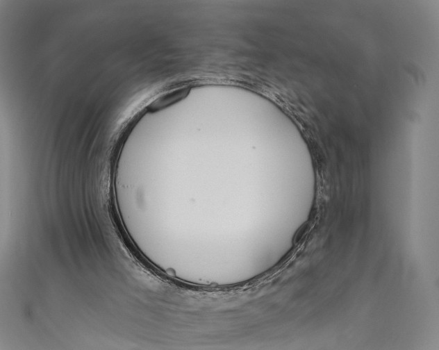 X0000110980005200907101419