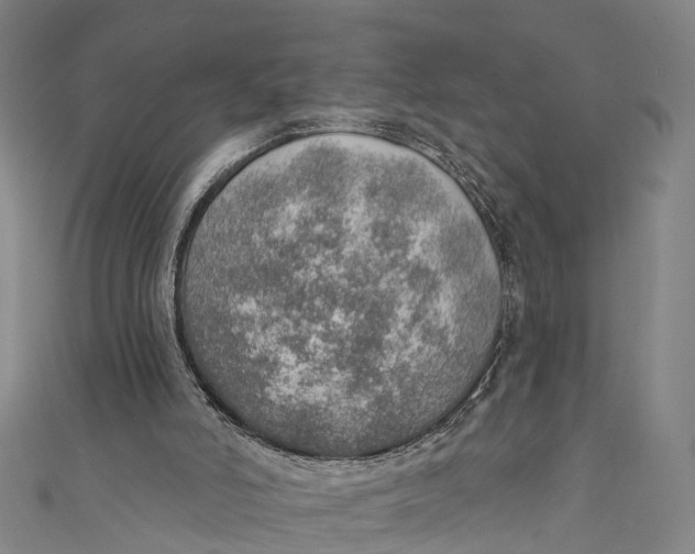 X0000110980006200907101419