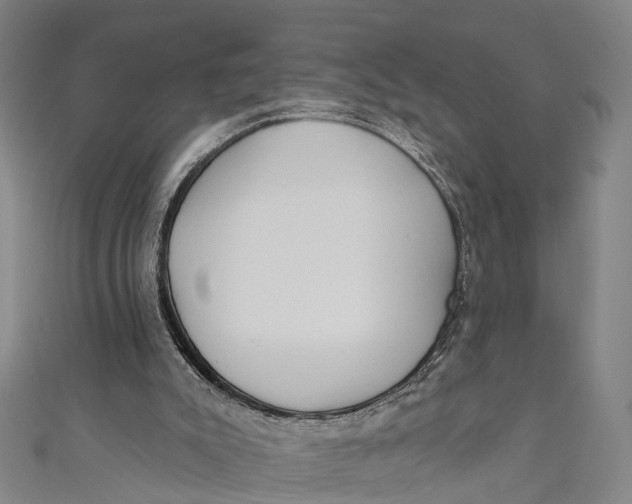 X0000110980007200907101419