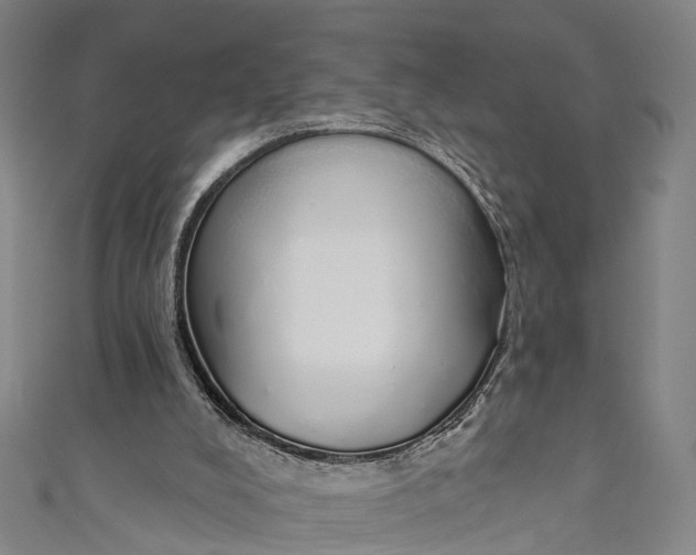 X0000110980008200907101419